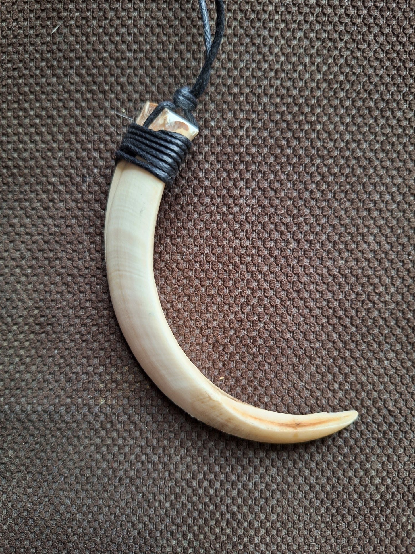 Wild boar tusk amulet necklace