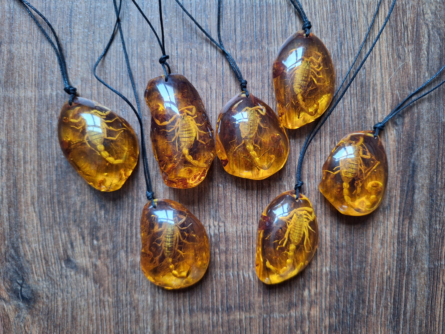 Scorpion in amber necklace