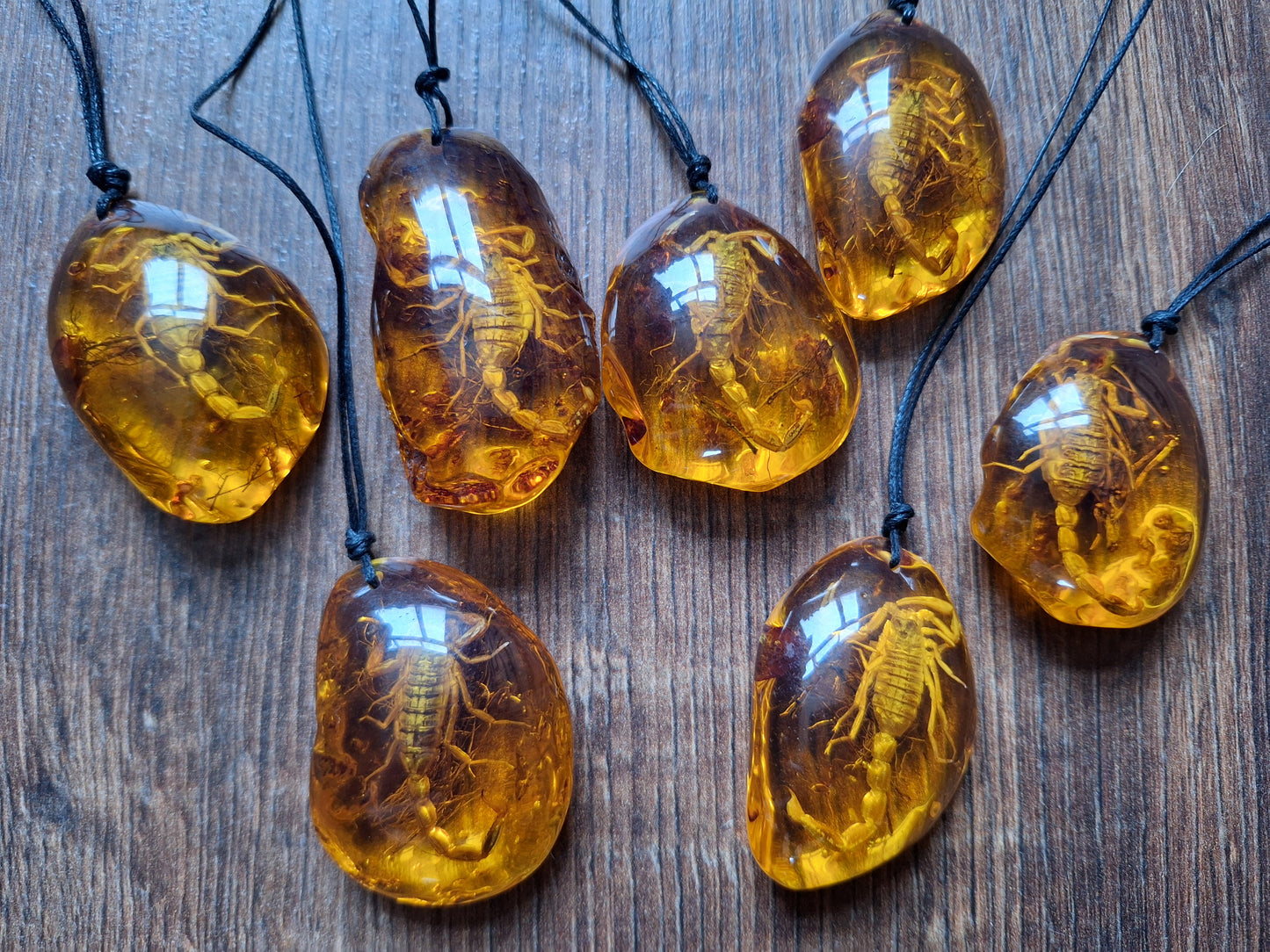 Scorpion in amber necklace