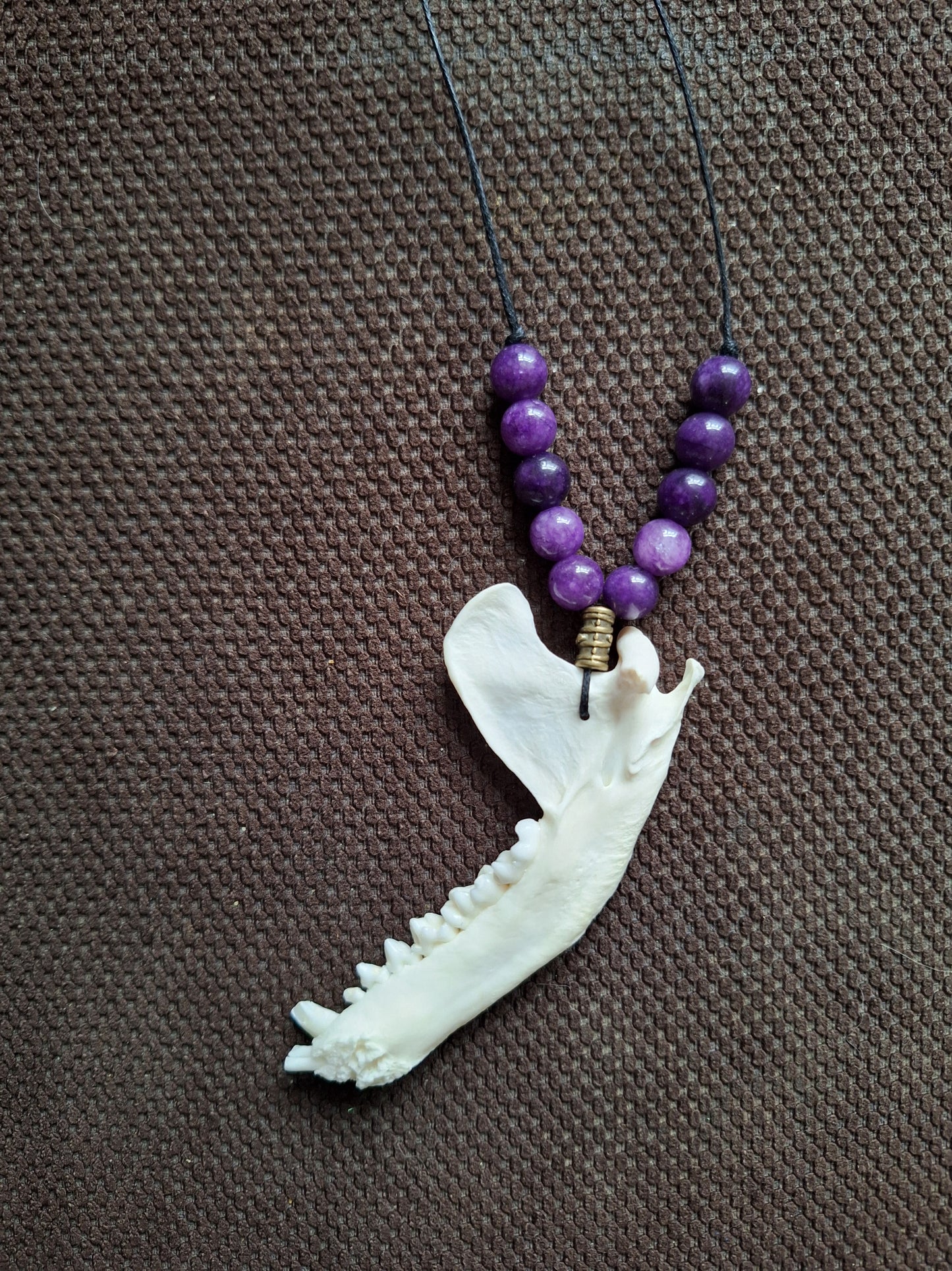 Racoon jaw bone and amethyst amulet necklace