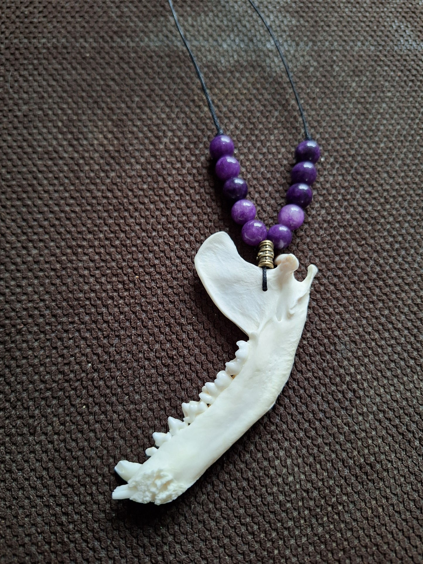 Racoon jaw bone and amethyst amulet necklace