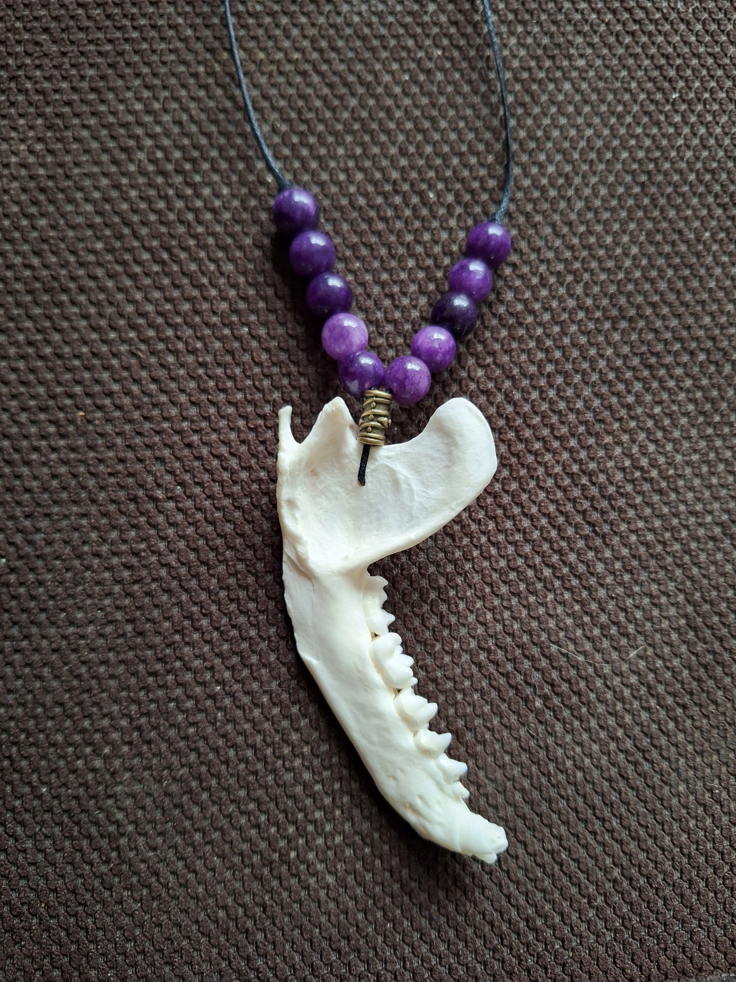 Racoon jaw bone and amethyst amulet necklace