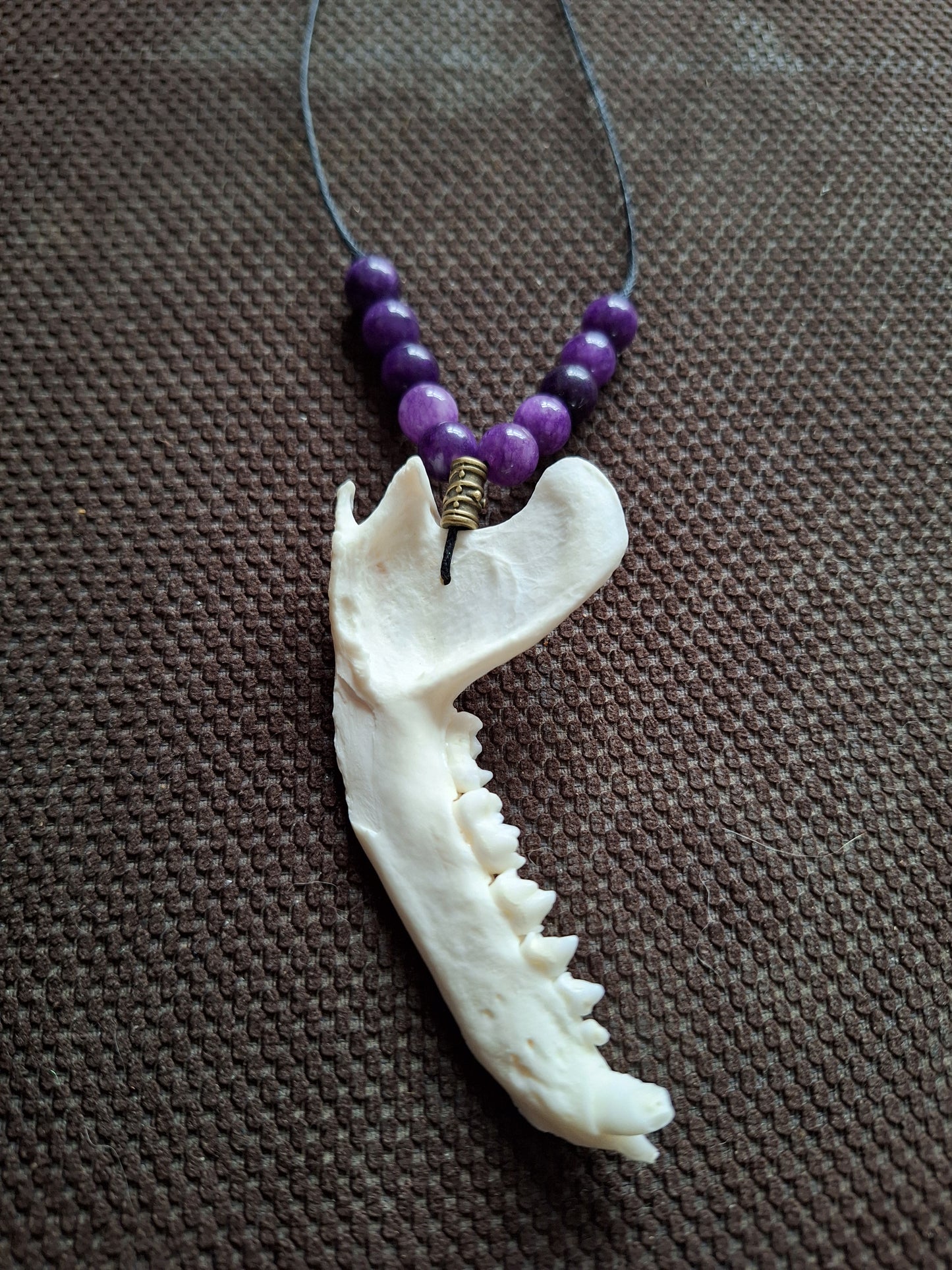 Racoon jaw bone and amethyst amulet necklace