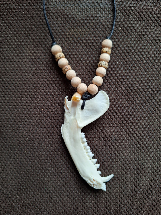 Racoon jaw bone with yak bone skull and wooden beads amulet necklace