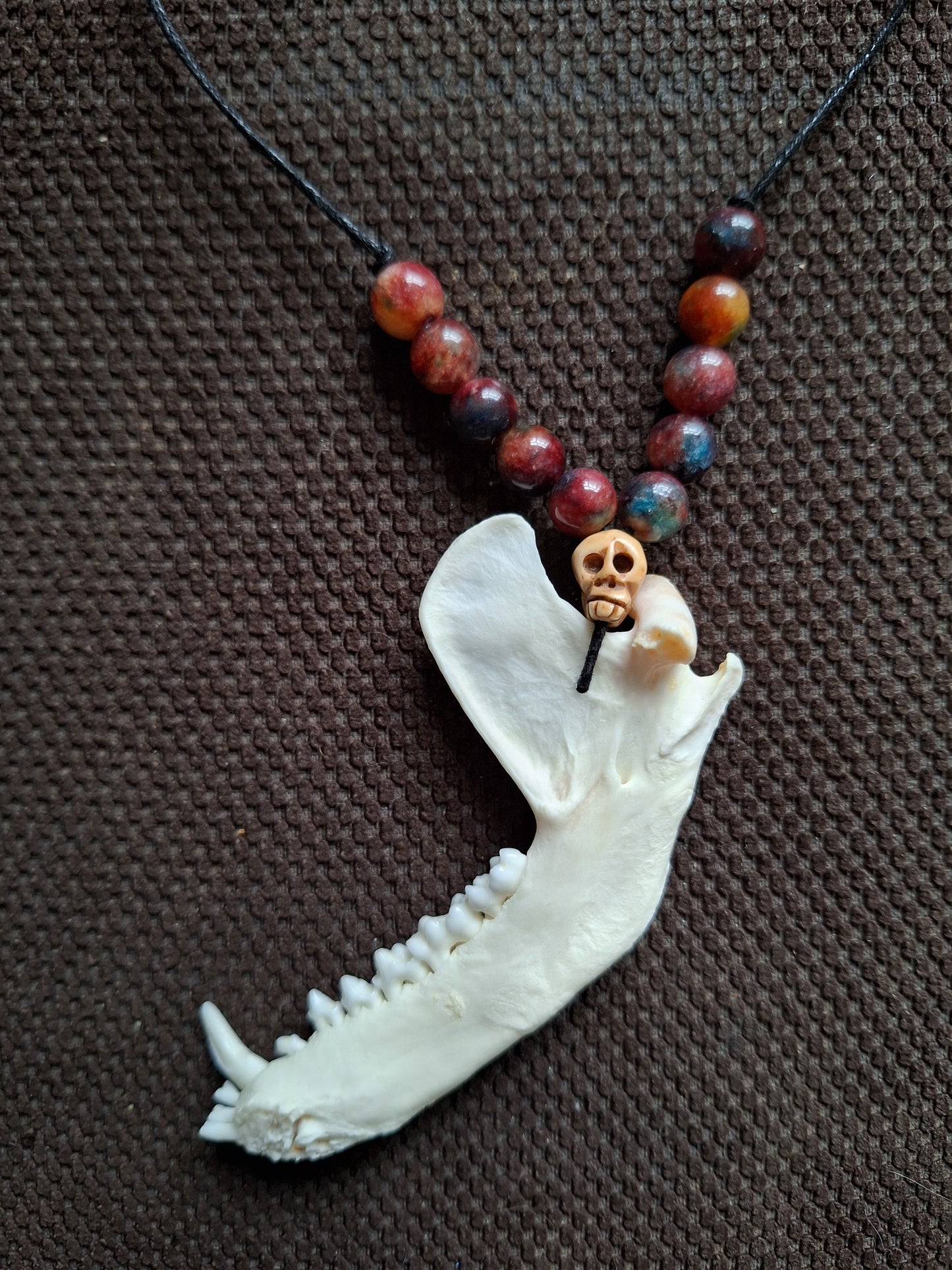 Racoon jaw bone and dragon's blood stone amulet necklace #2