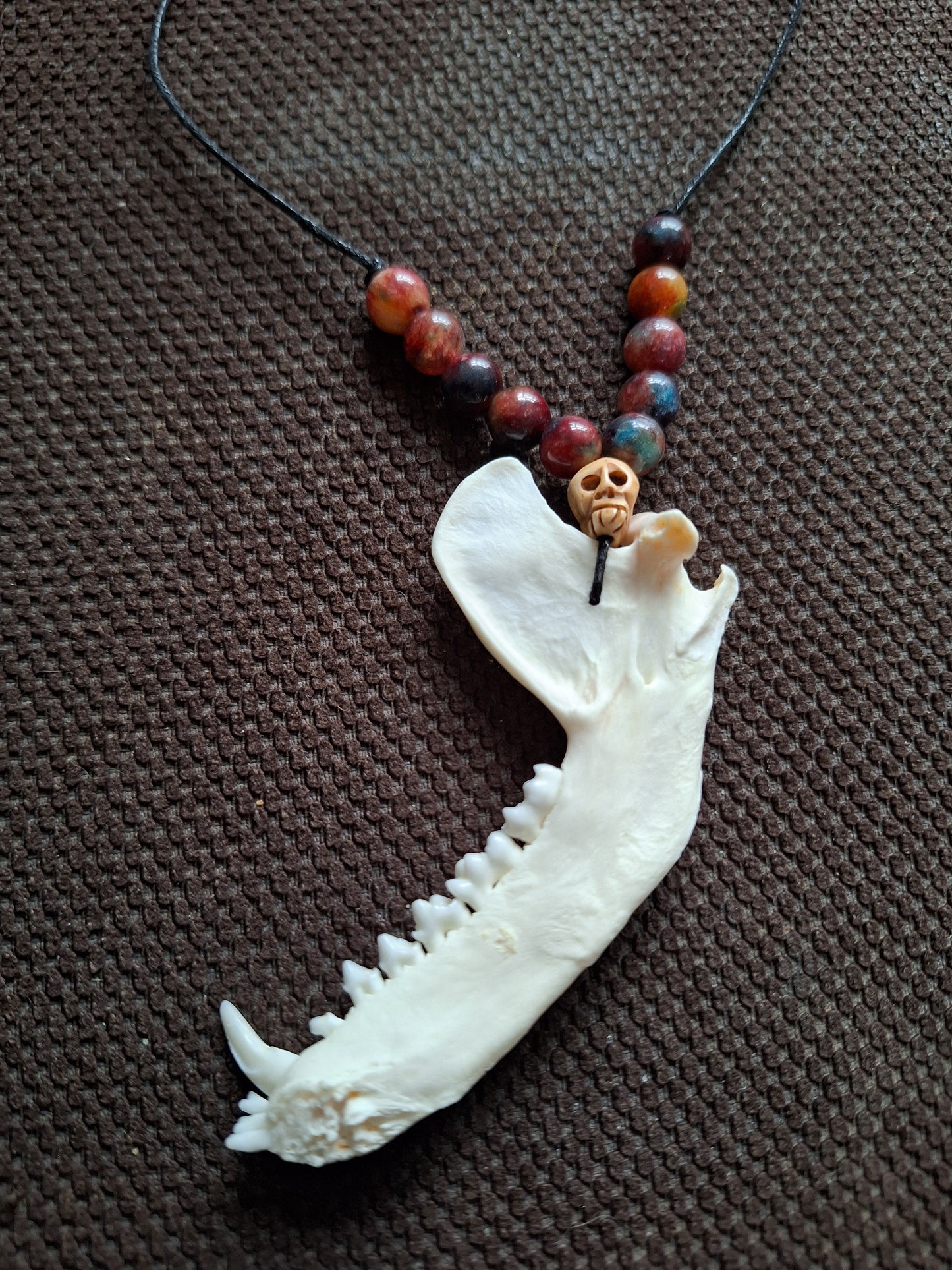 Racoon jaw bone and dragon's blood stone amulet necklace #2