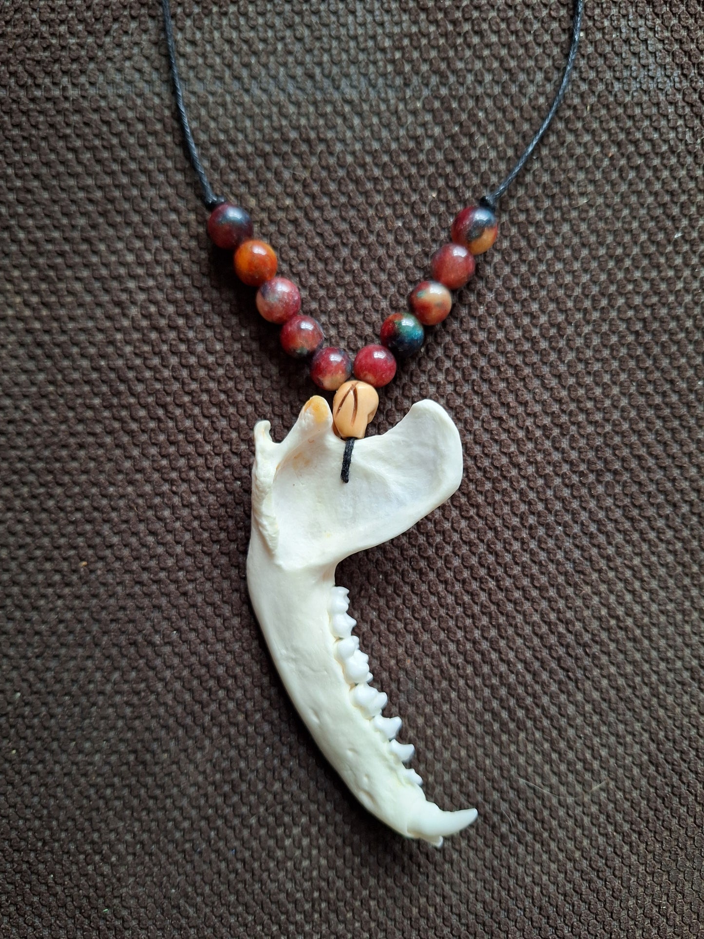 Racoon jaw bone and dragon's blood stone amulet necklace #2