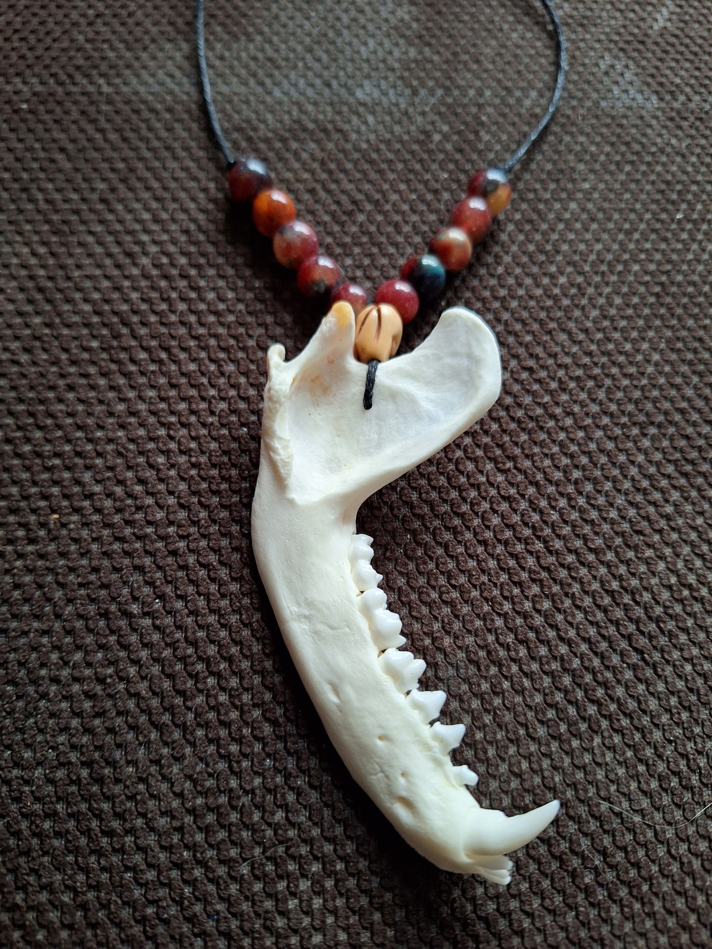 Racoon jaw bone and dragon's blood stone amulet necklace #2