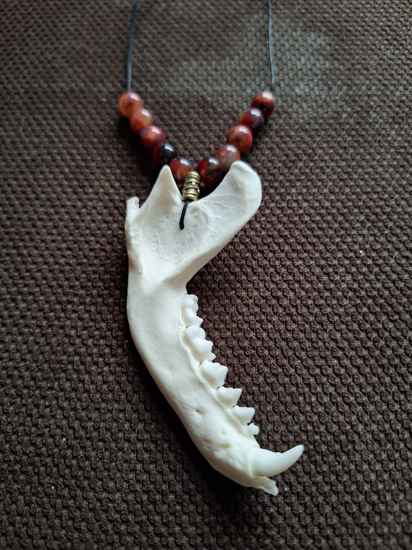 Racoon jaw bone and dragon's blood stone amulet necklace #1