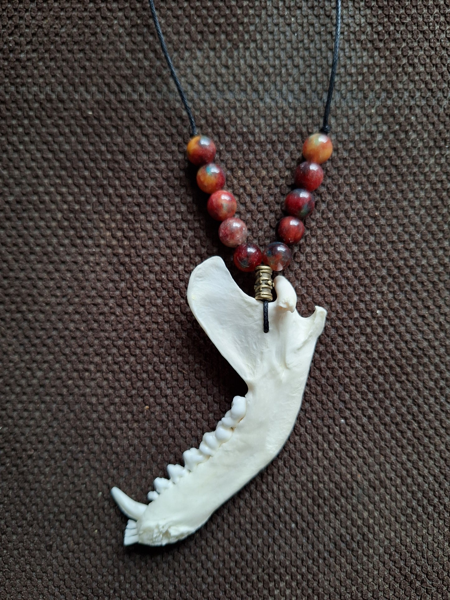 Racoon jaw bone and dragon's blood stone amulet necklace #1