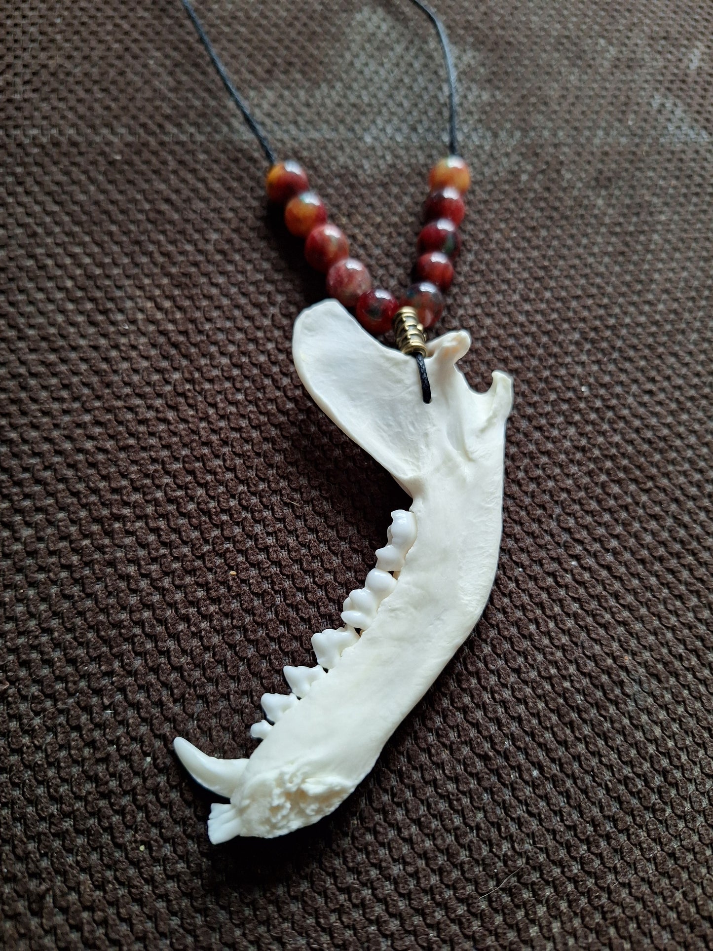 Racoon jaw bone and dragon's blood stone amulet necklace #1