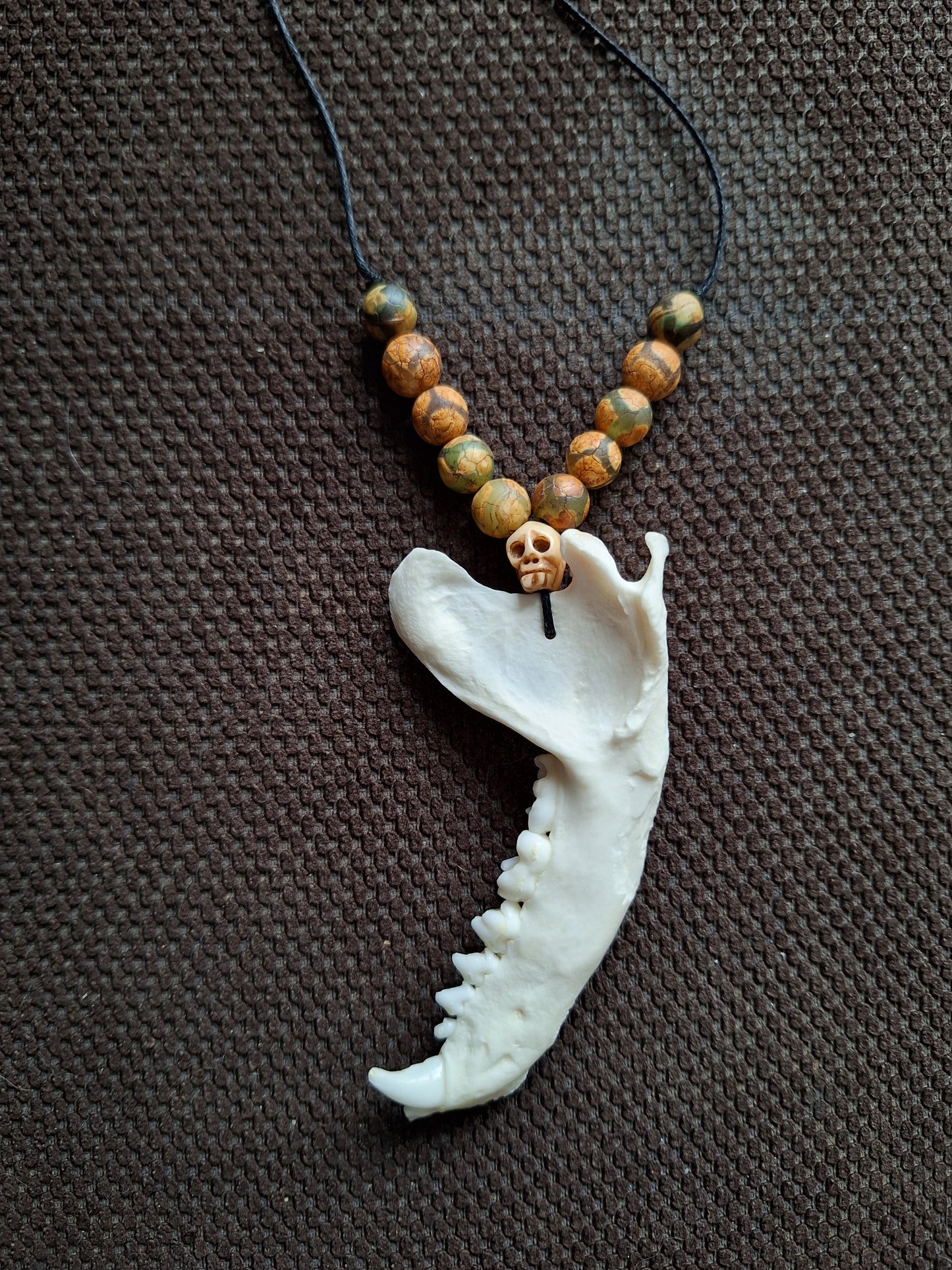 Racoon jaw bone with yak bone skull amulet necklace