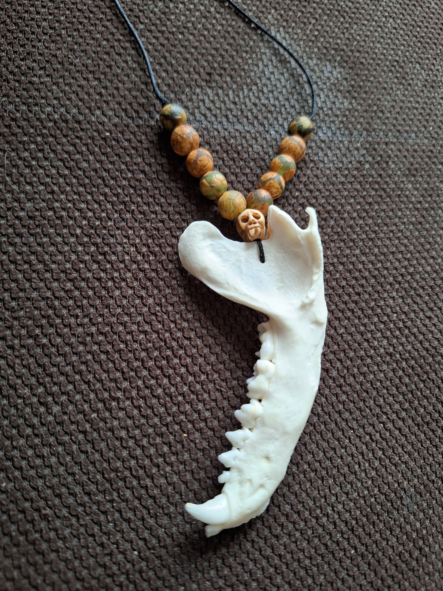 Racoon jaw bone with yak bone skull amulet necklace