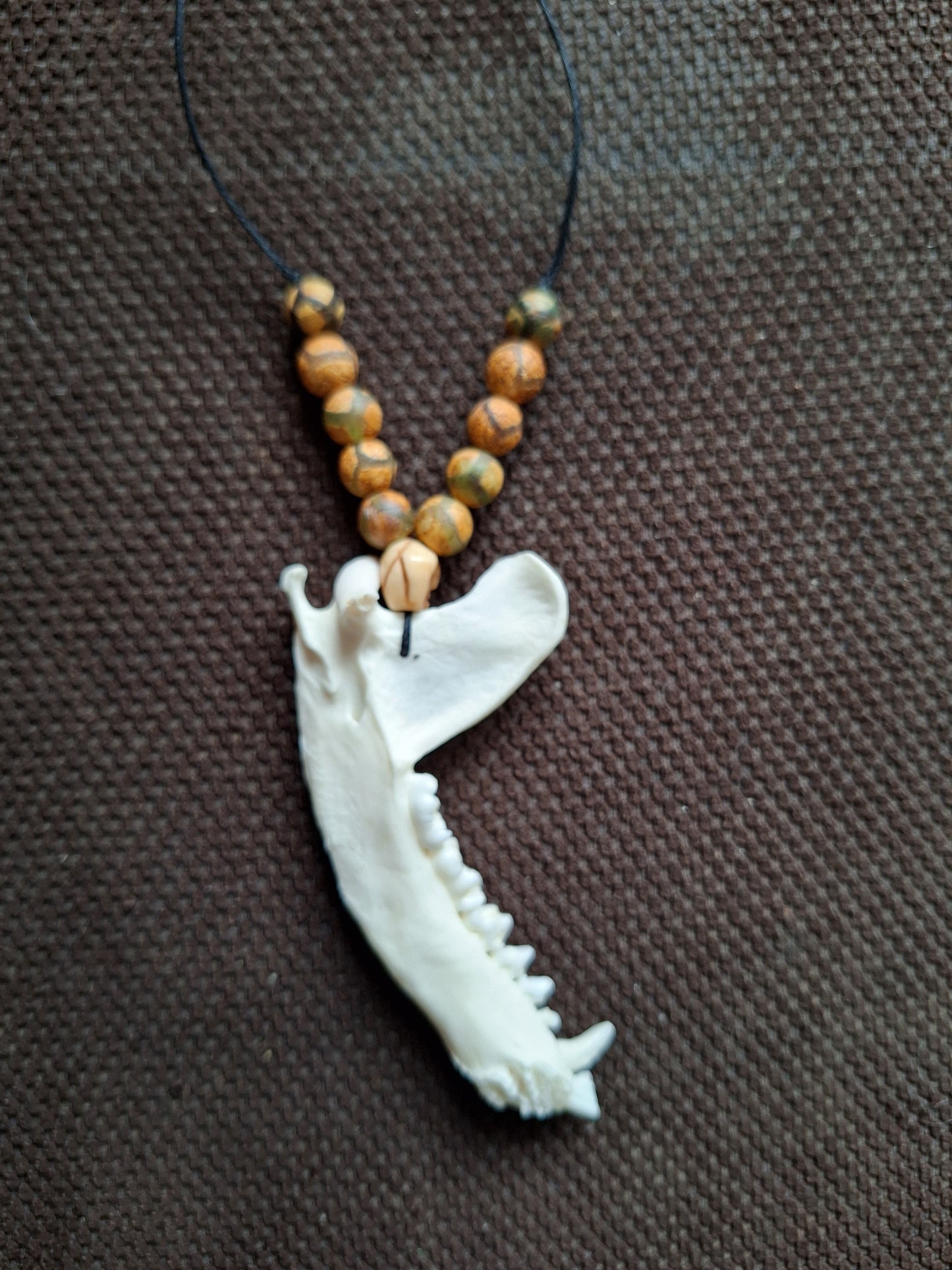 Racoon jaw bone with yak bone skull amulet necklace