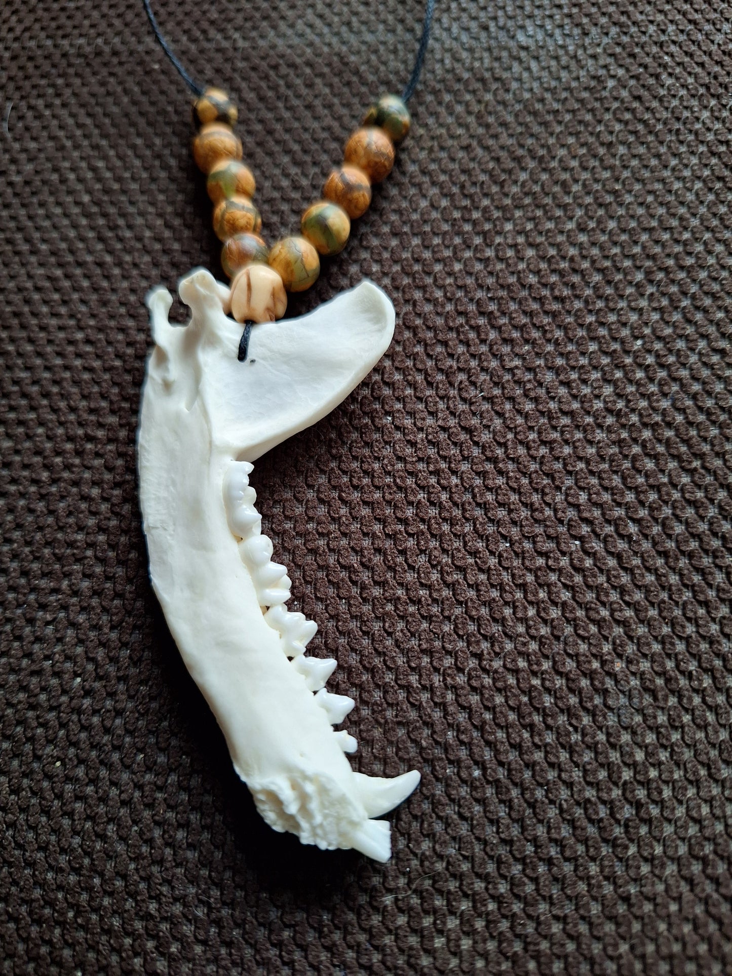 Racoon jaw bone with yak bone skull amulet necklace