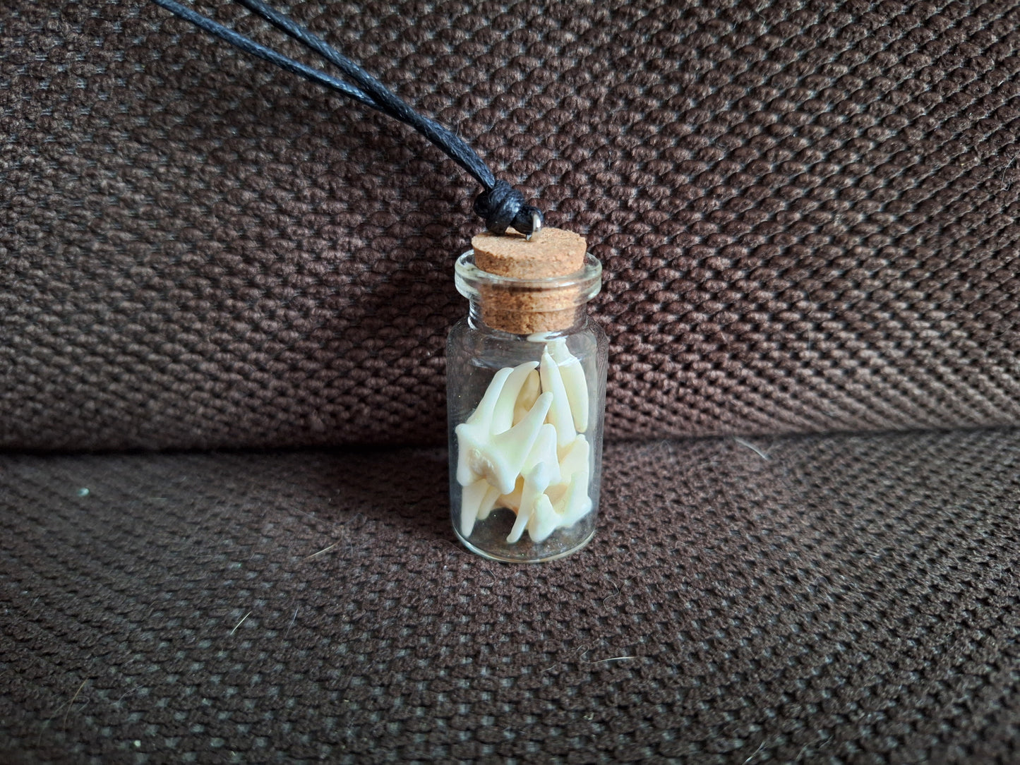 Fox teeth bottle amulet necklace