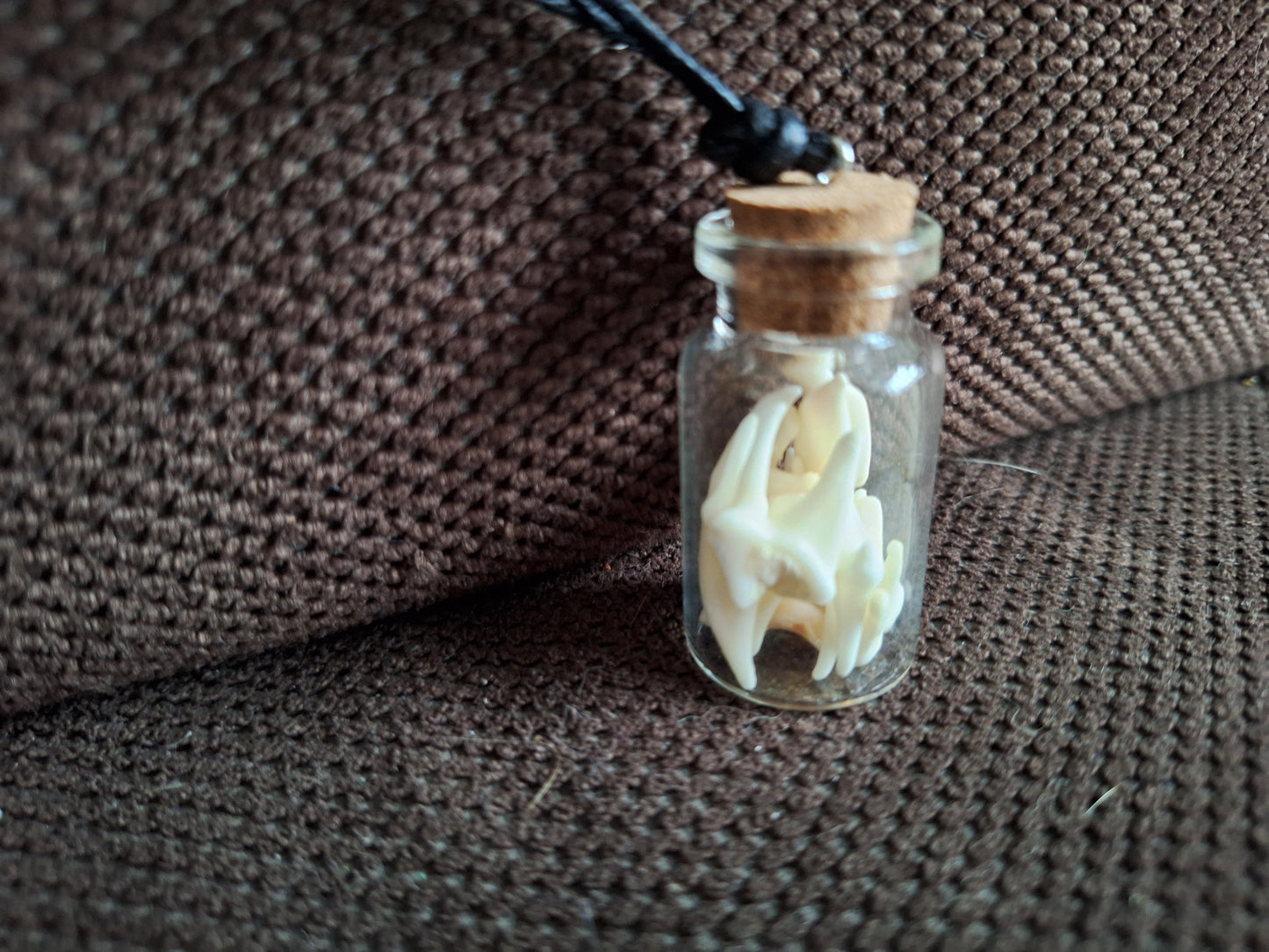 Fox teeth bottle amulet necklace