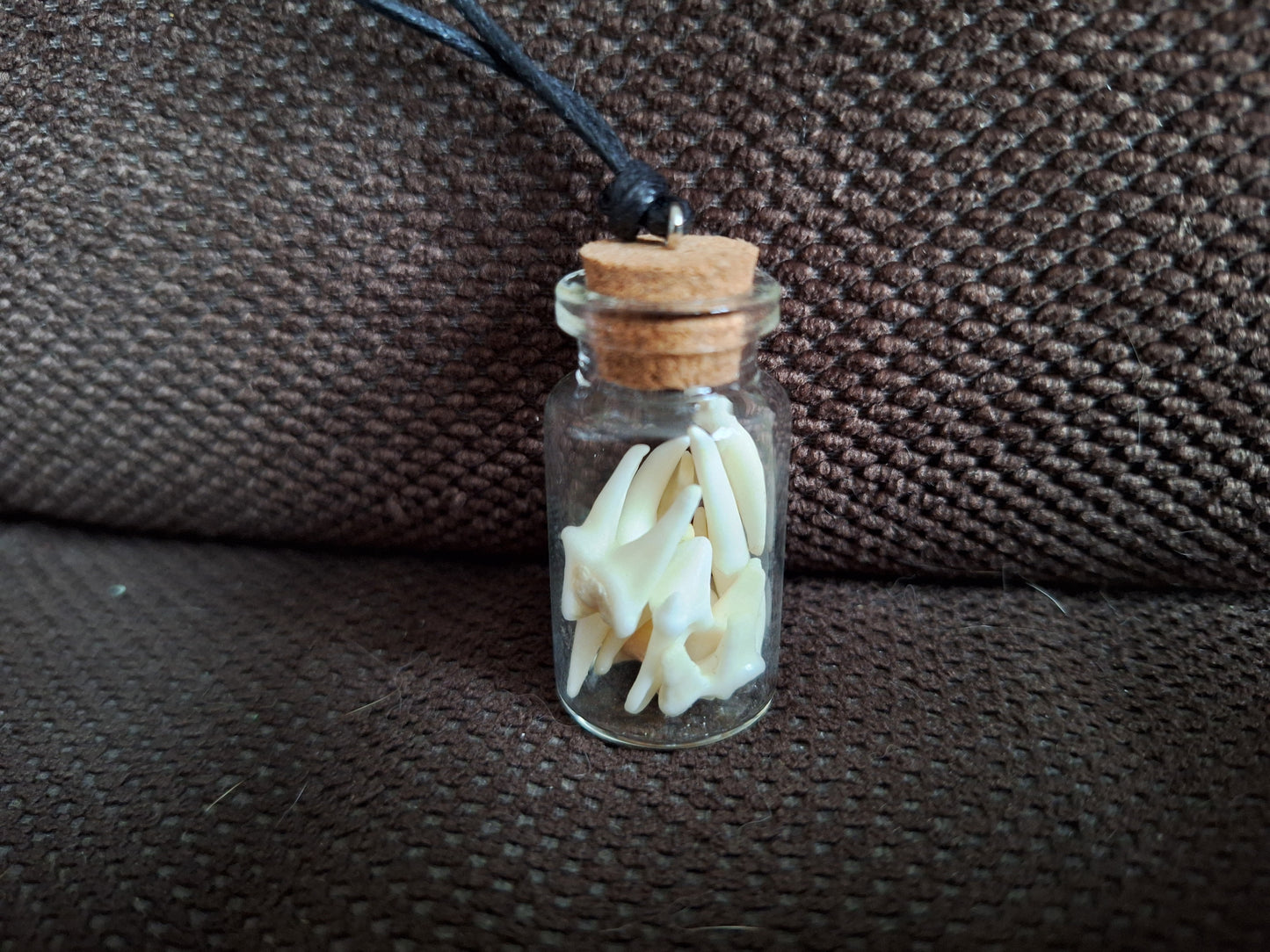 Fox teeth bottle amulet necklace