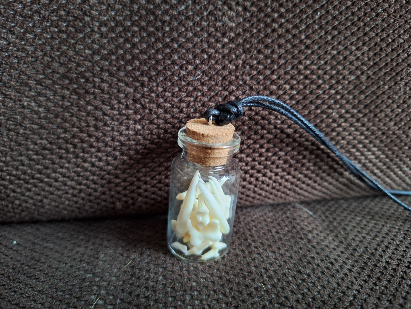 Fox teeth bottle amulet necklace