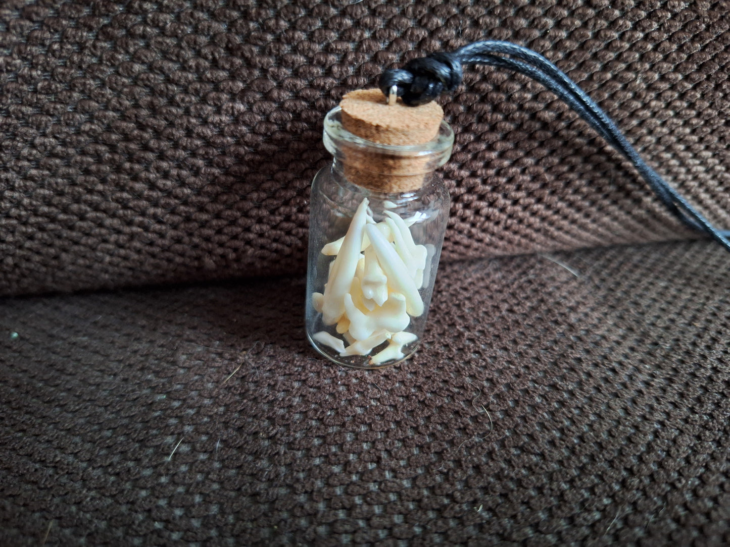 Fox teeth bottle amulet necklace