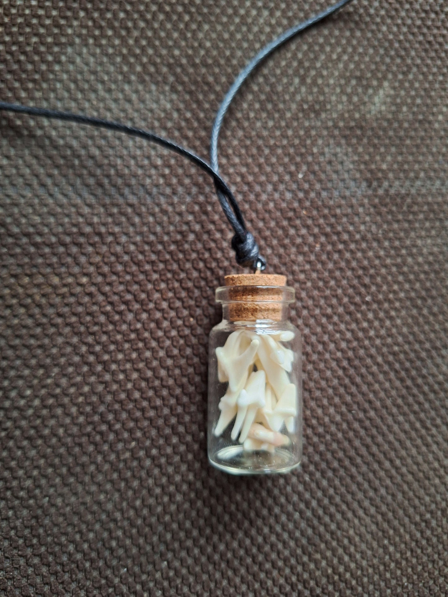 Fox teeth bottle amulet necklace