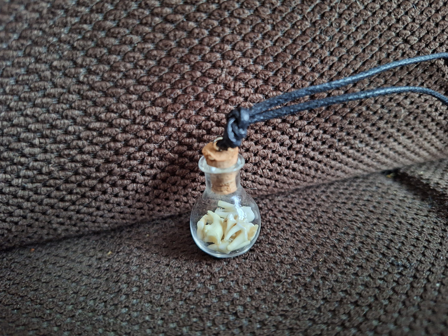 Fox teeth mini bottle amulet necklace