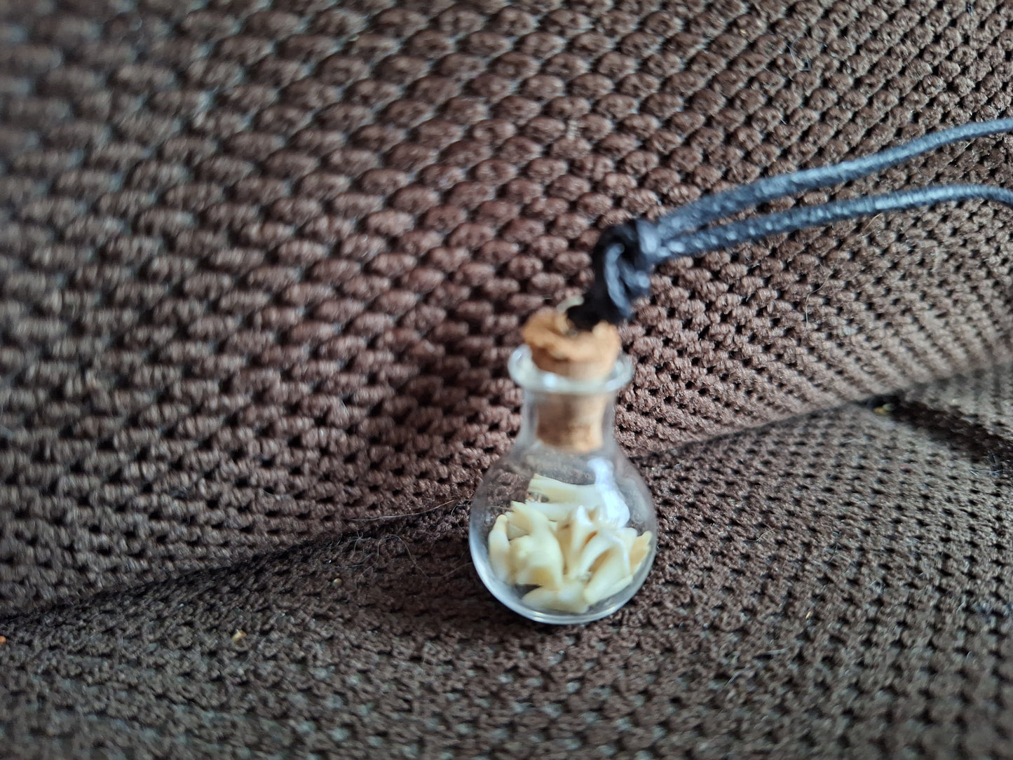 Fox teeth mini bottle amulet necklace