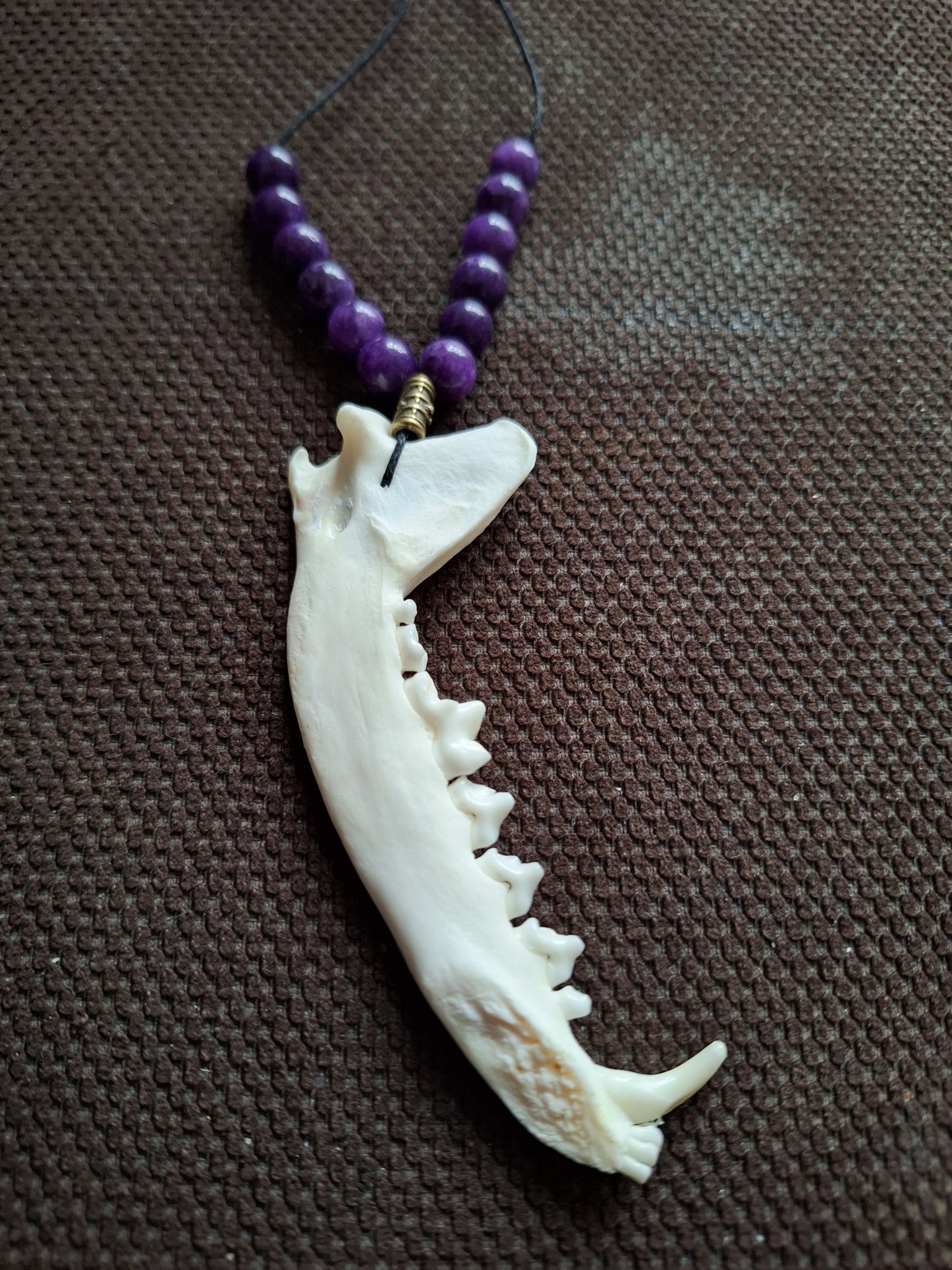 Fox jaw bone and amethyst amulet necklace