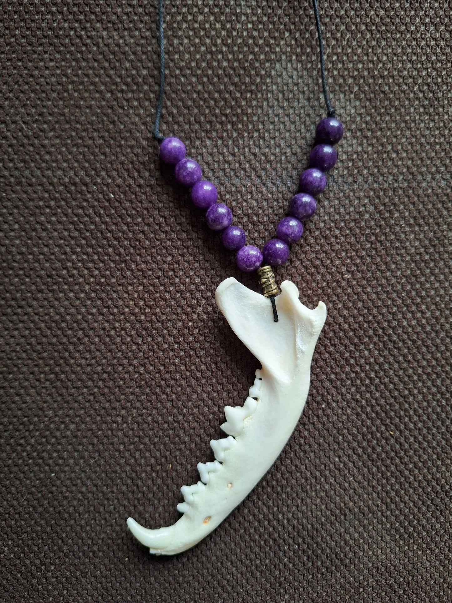 Fox jaw bone and amethyst amulet necklace