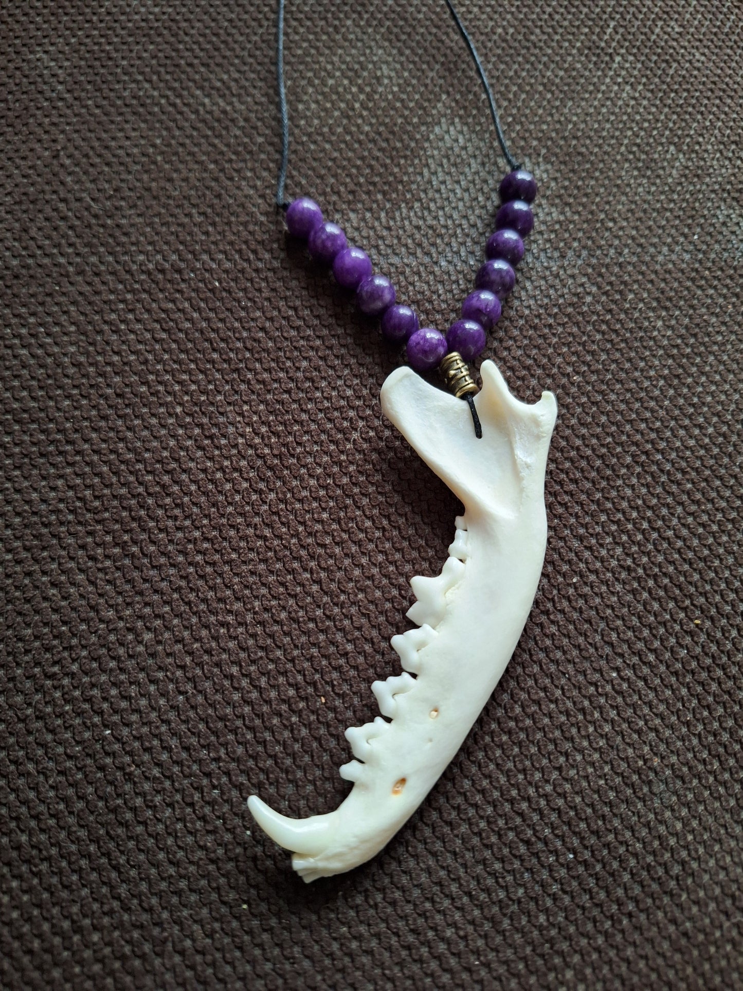 Fox jaw bone and amethyst amulet necklace