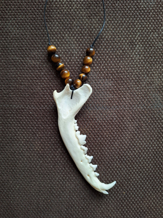 Fox jaw bone and tiger's eye amulet necklace