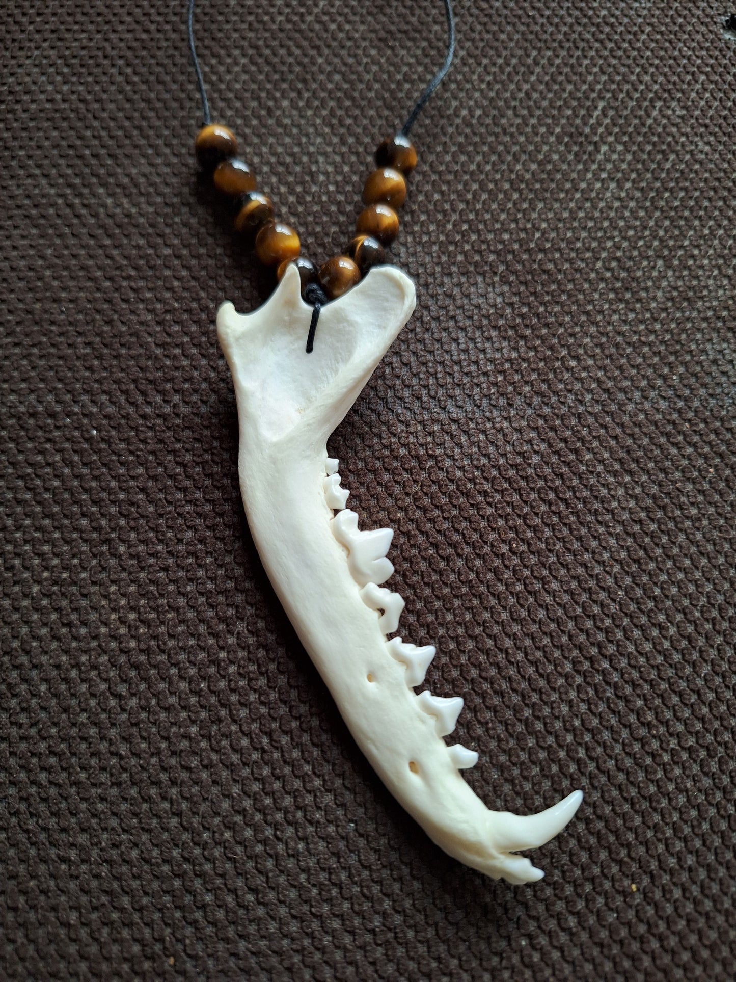 Fox jaw bone and tiger's eye amulet necklace