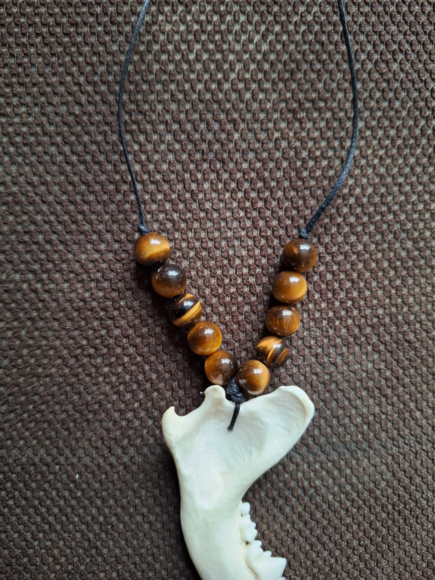 Fox jaw bone and tiger's eye amulet necklace