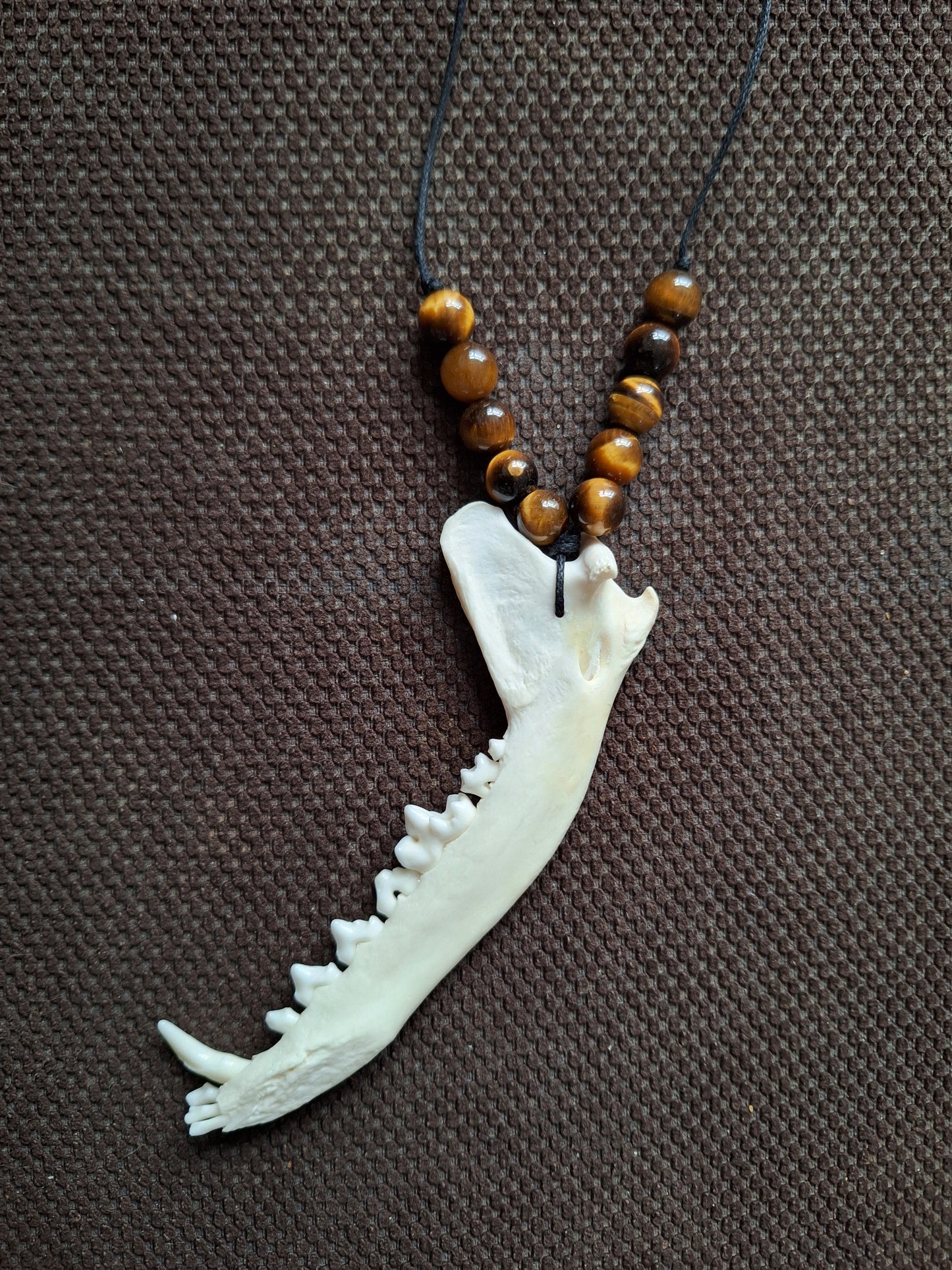 Fox jaw bone and tiger's eye amulet necklace