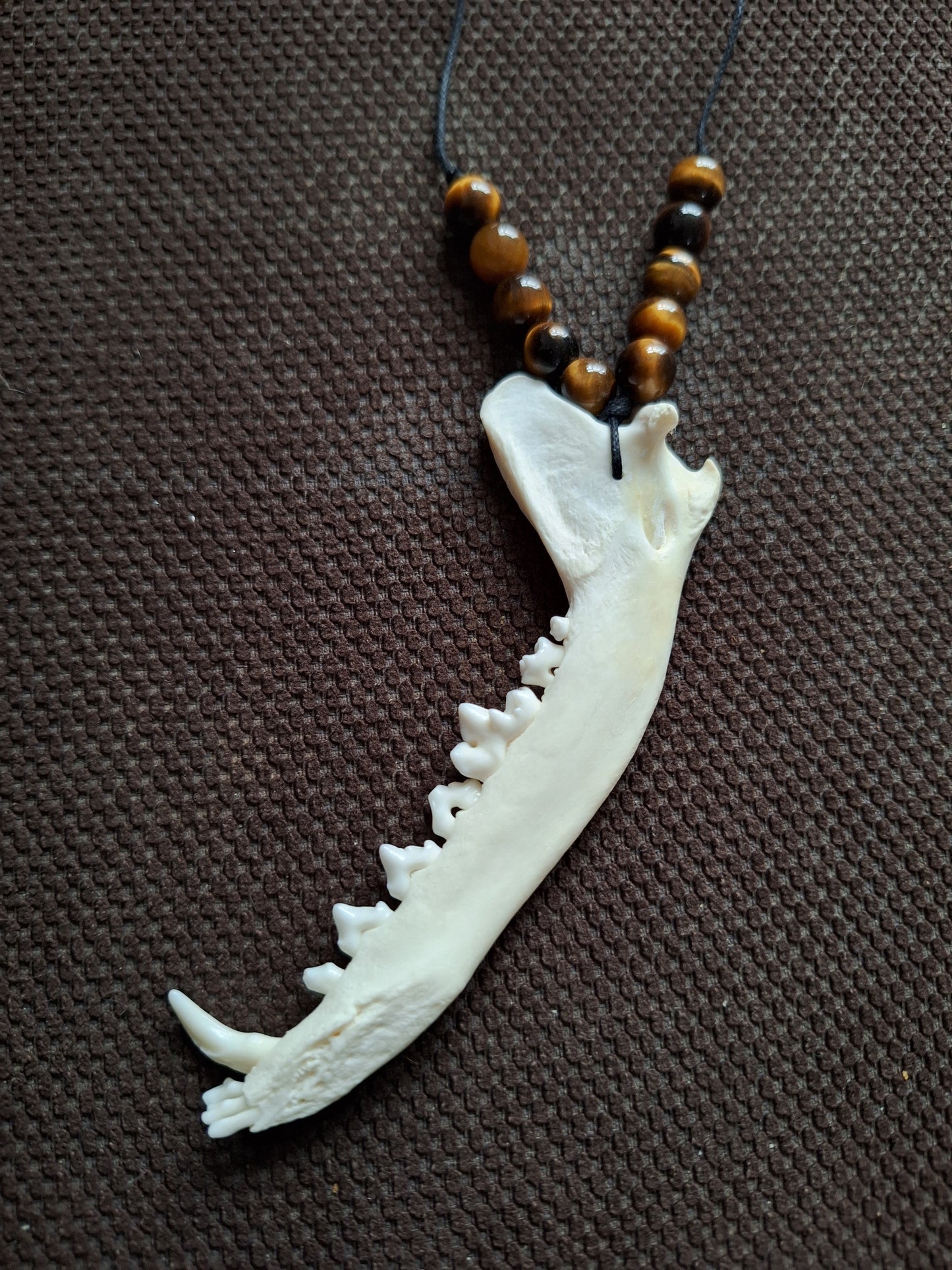 Fox jaw bone and tiger's eye amulet necklace