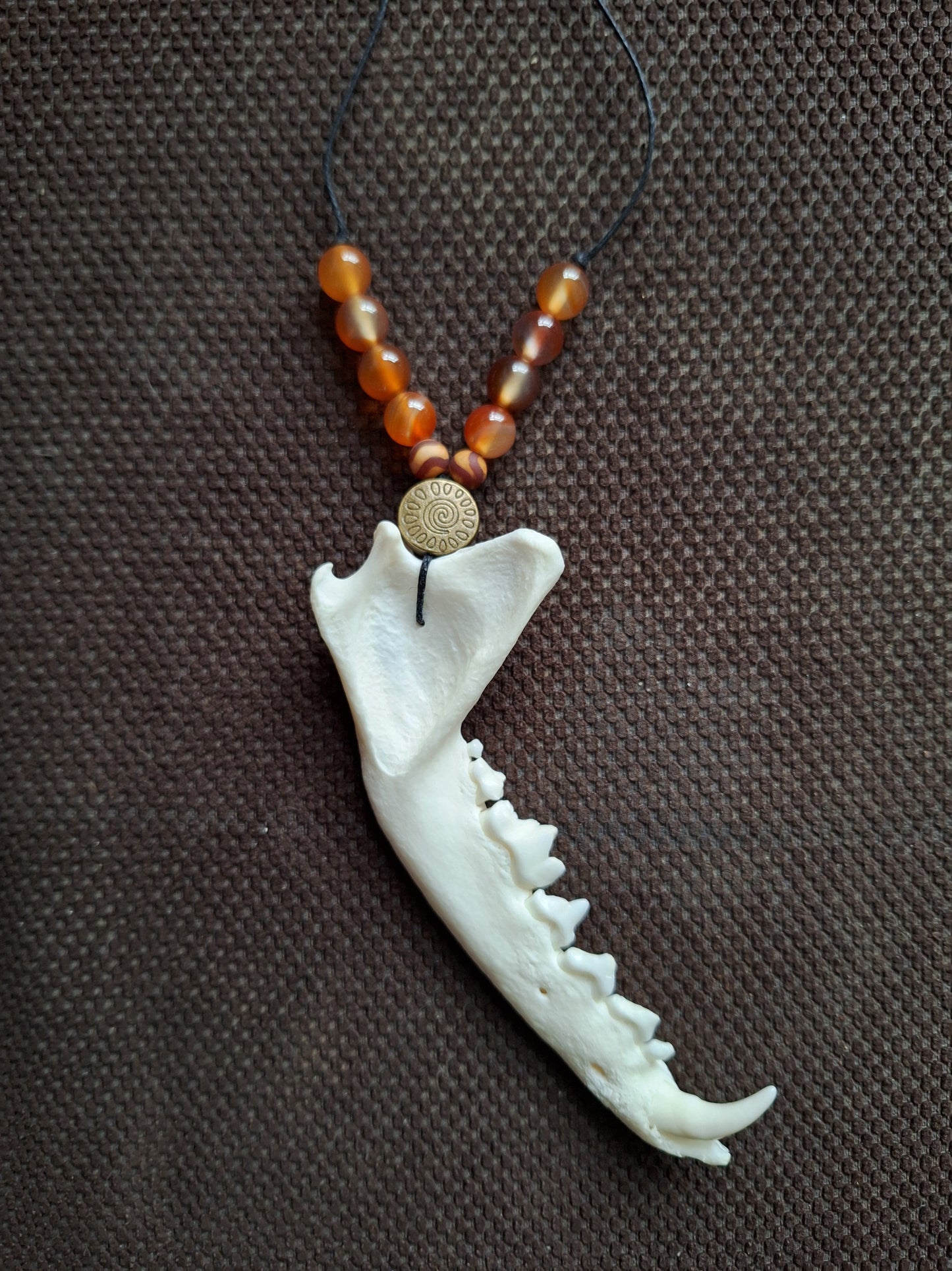 Fox jaw bone and carnelian amulet necklace