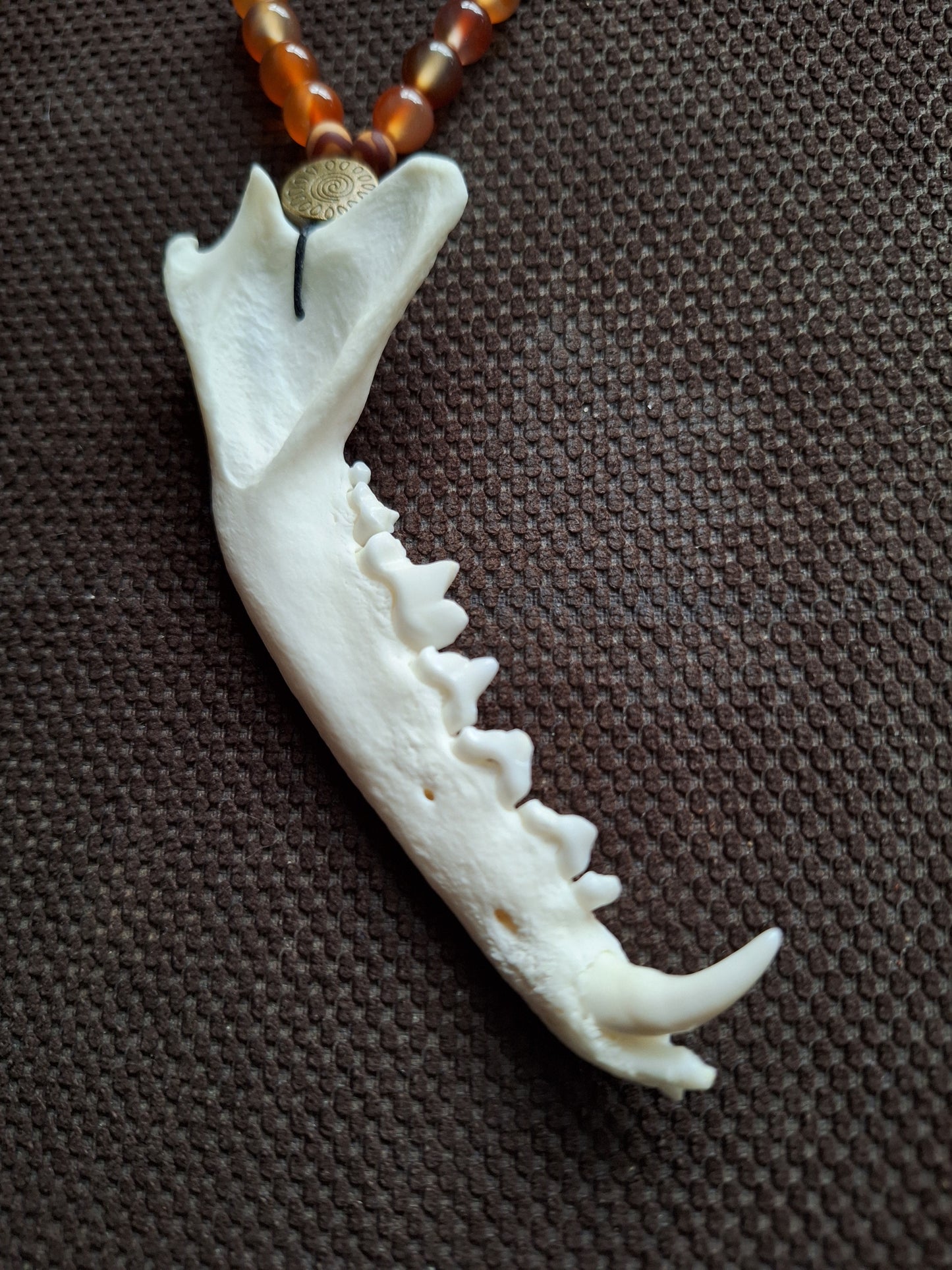 Fox jaw bone and carnelian amulet necklace