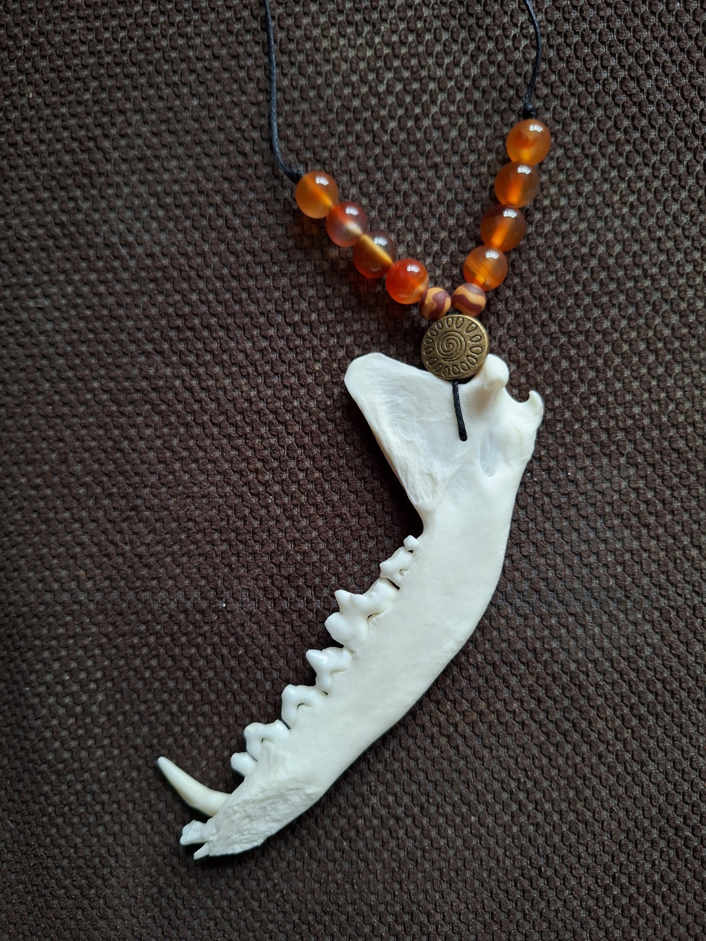 Fox jaw bone and carnelian amulet necklace