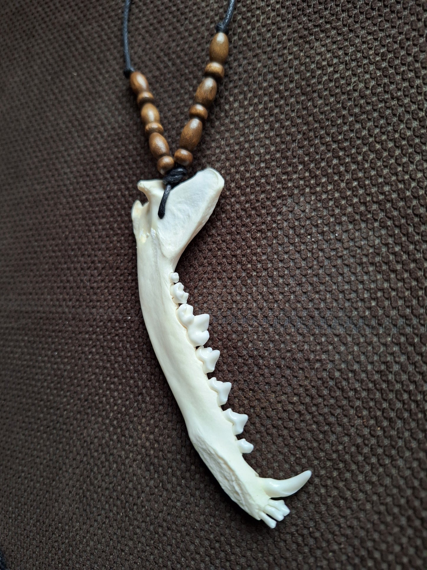 Fox jaw bone and wooden beads amulet necklace