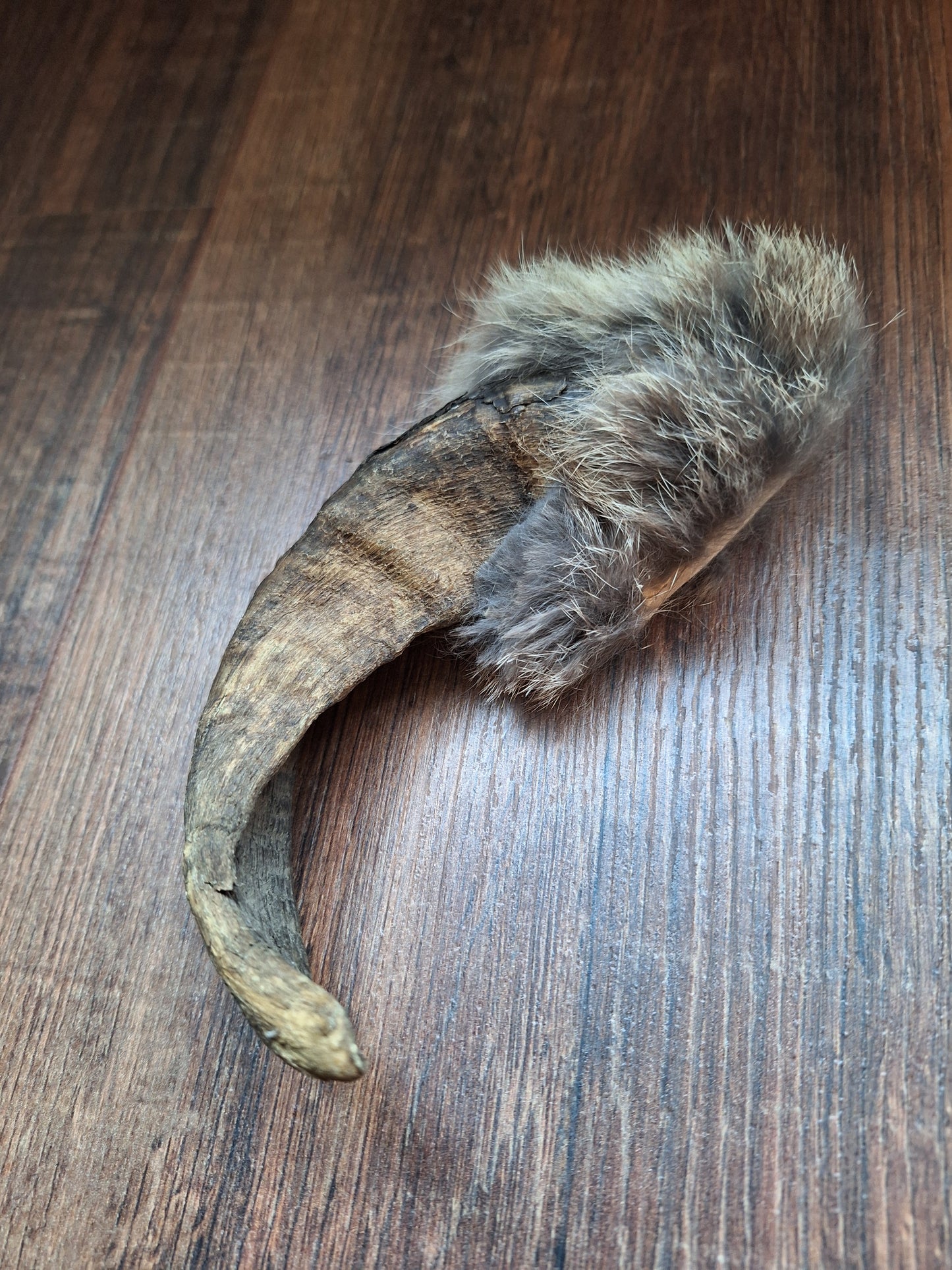 Sheep horn and rabbit fur rattle