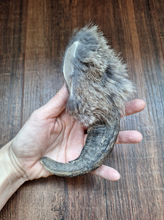 Sheep horn and rabbit fur rattle