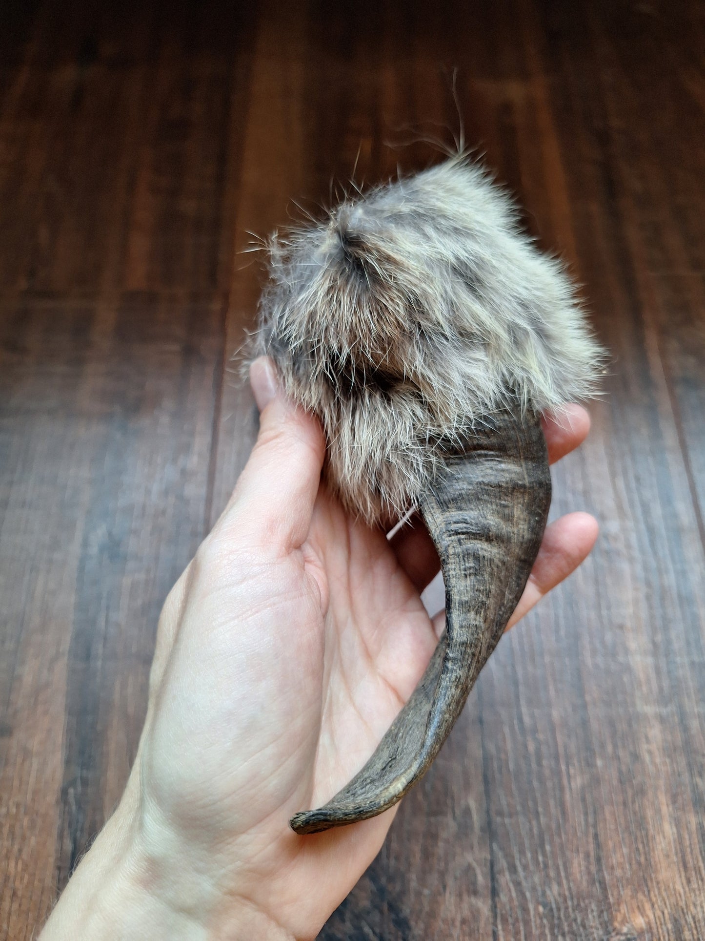 Sheep horn and rabbit fur rattle