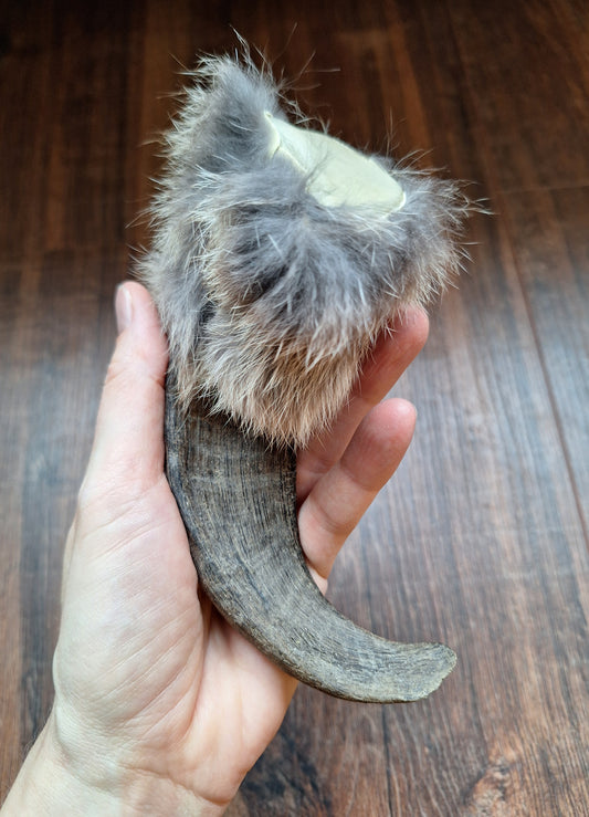 Sheep horn and rabbit fur rattle