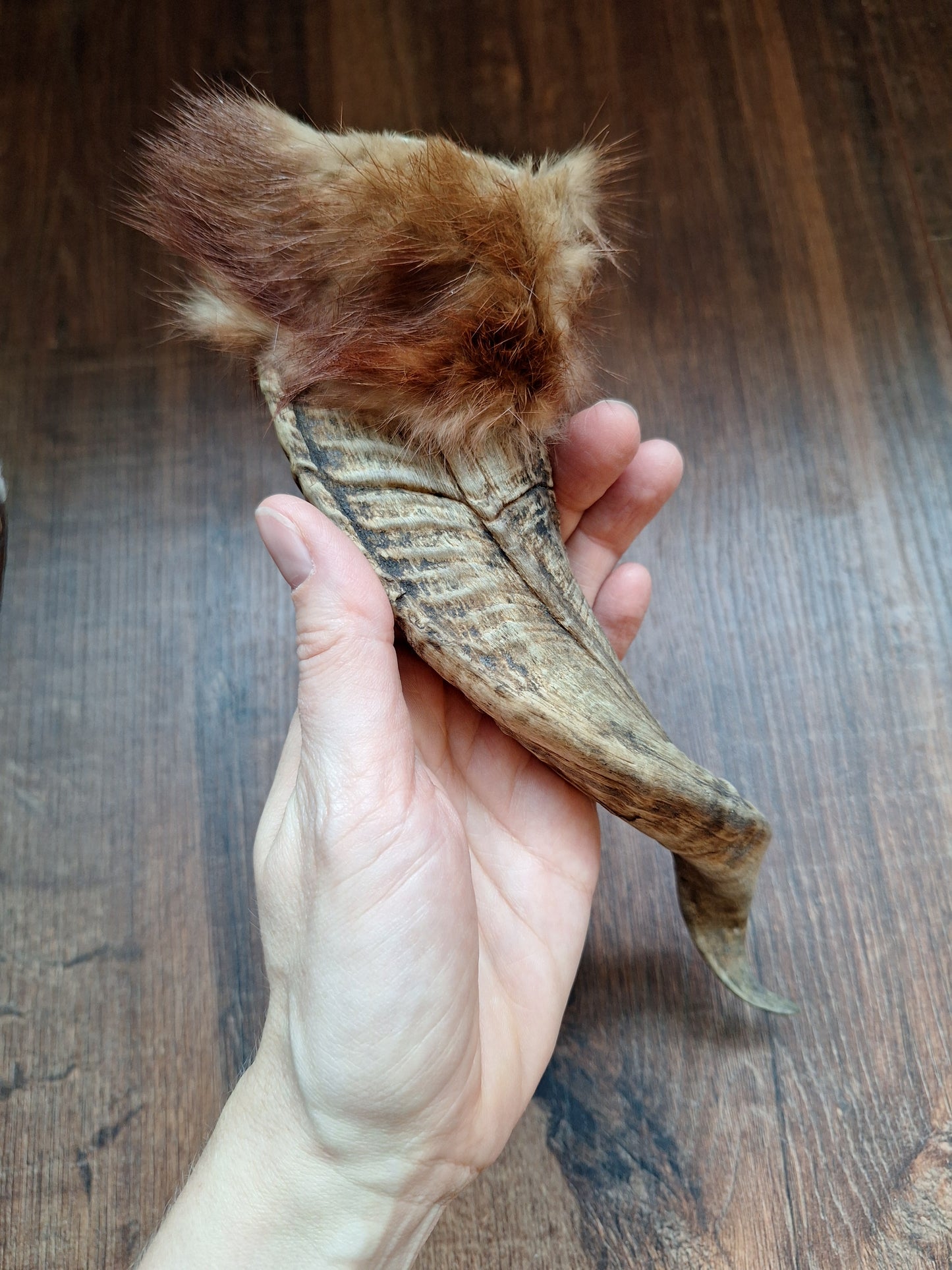 Sheep horn and polecat fur rattle