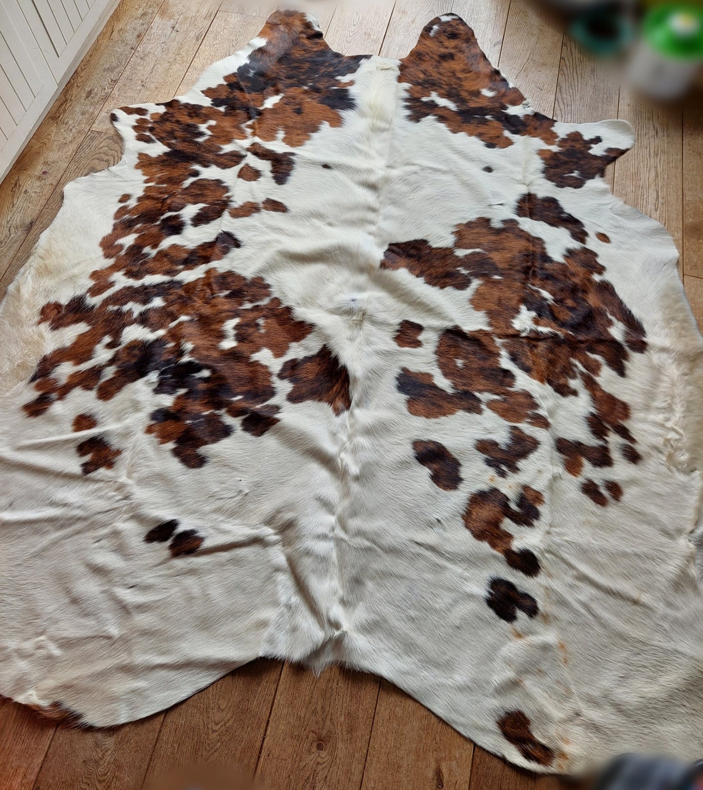 Cow hide