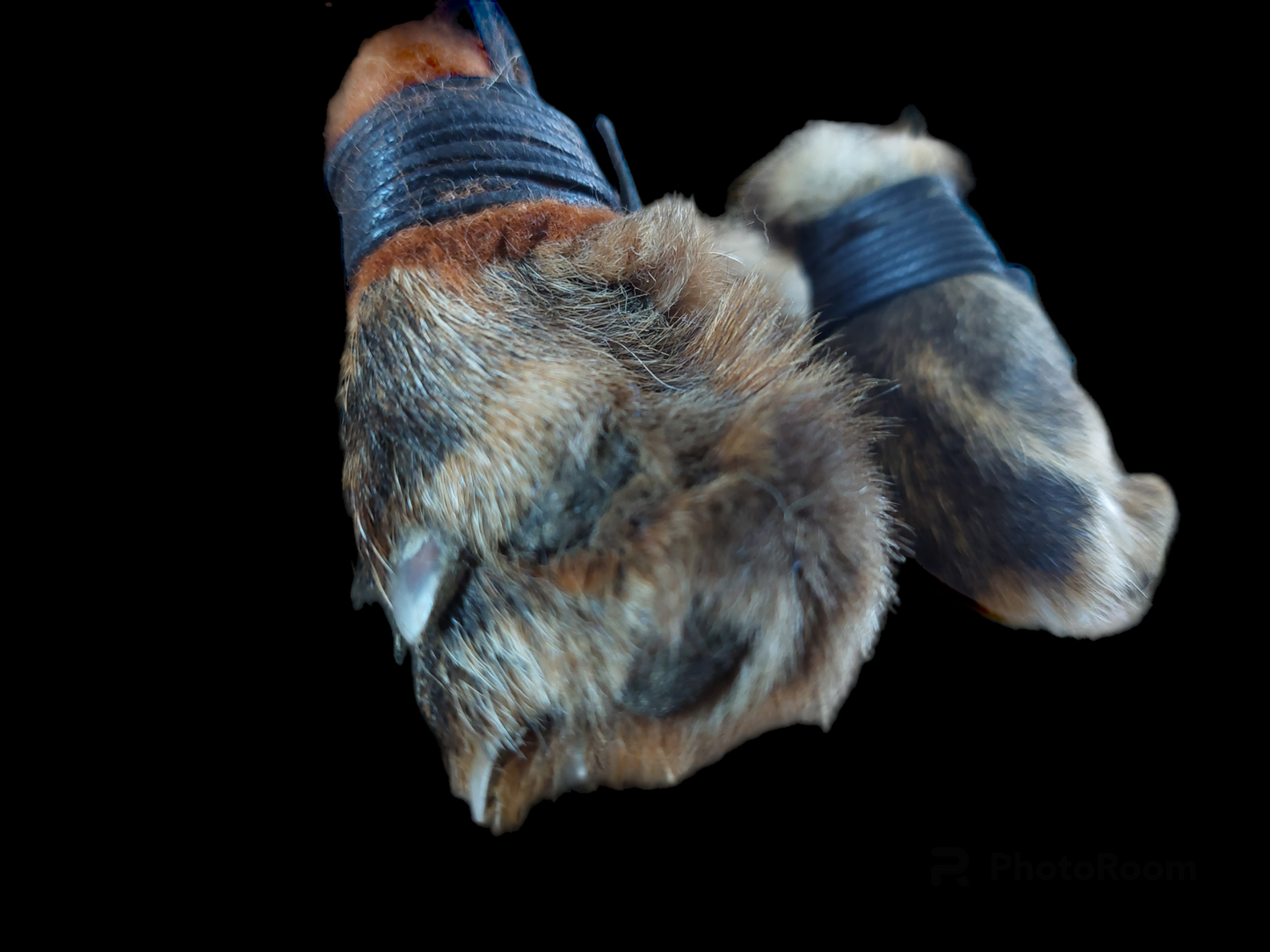 Fox paw amulet necklace