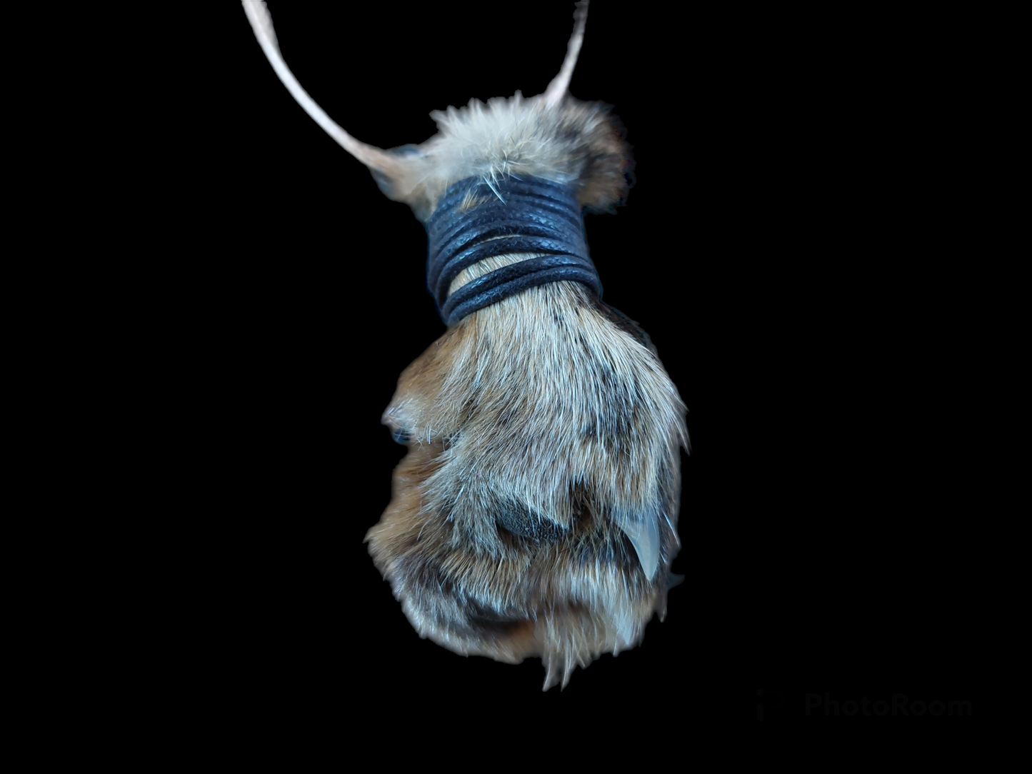 Fox paw amulet necklace