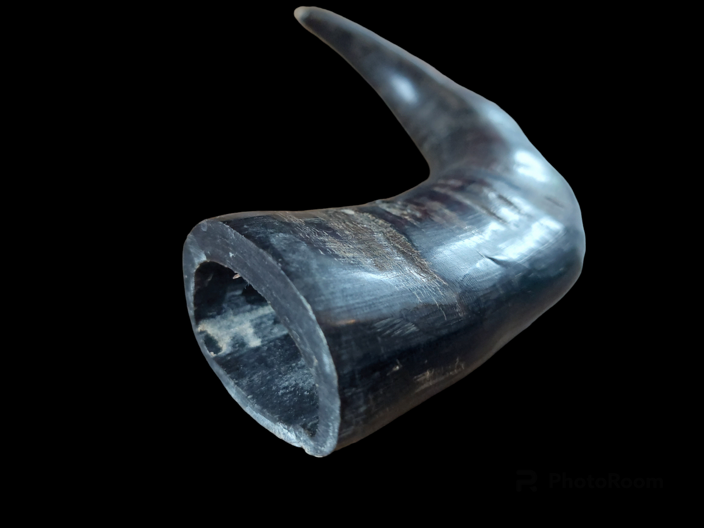 Water buffalo horn, single