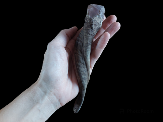 Old Nepalese shamanic horn stick #1