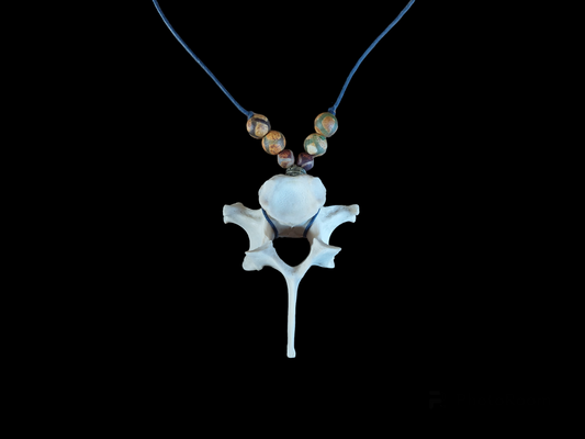 Roe deer vertebra amulet necklace